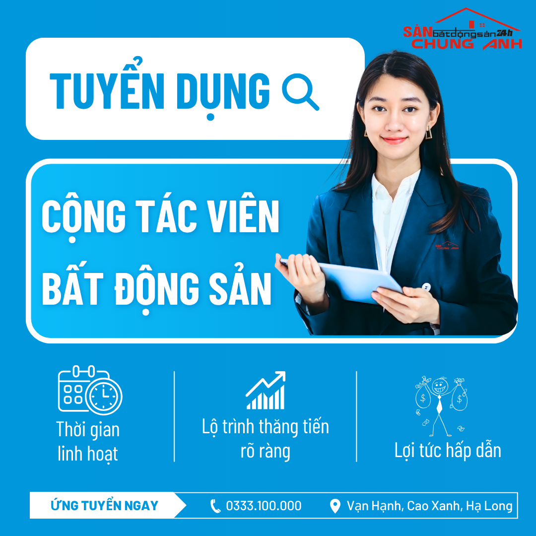 lĩnh vực hoạt động